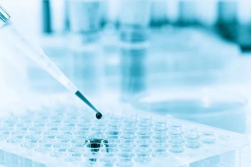 美國生物科技公司Counsyl獲8000萬美元融資，加速臨床級產(chǎn)前基因篩查推廣